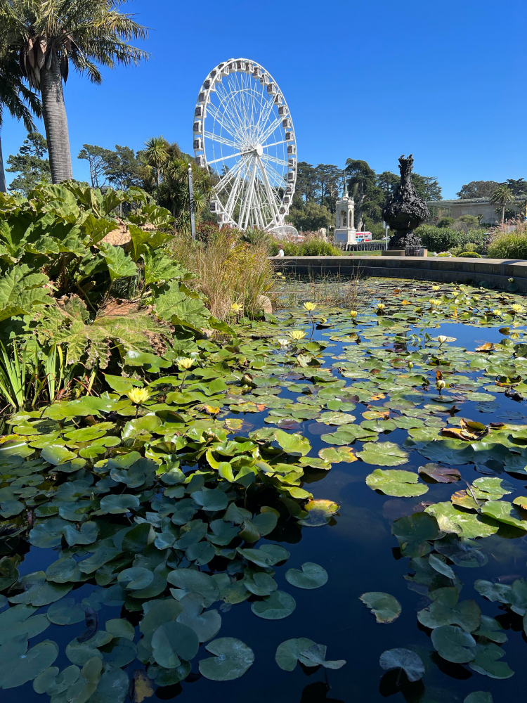 So sánh camera iPhone 13 Pro vs iPhone 14 Pro