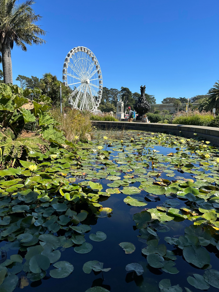 So sánh camera iPhone 13 Pro vs iPhone 14 Pro