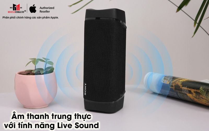 Loa Bluetooth Sony SRS-XB33