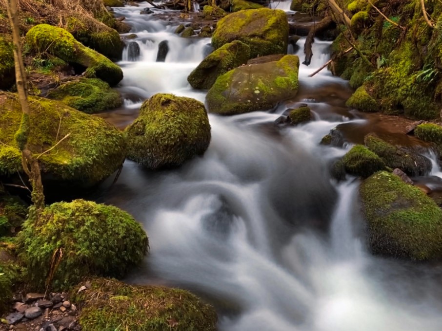Nước chảy xiết làm cho chủ thể bị mờ hấp dẫn, trong khi những tảng đá vẫn tĩnh và sắc nét