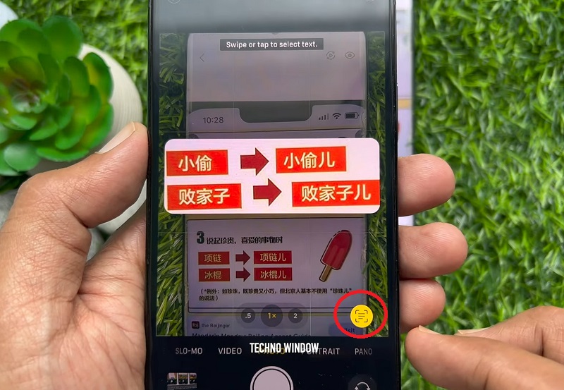 Nhấn vào biểu tượng Live Text để xác định được ngôn ngữ văn bản cần dịch 