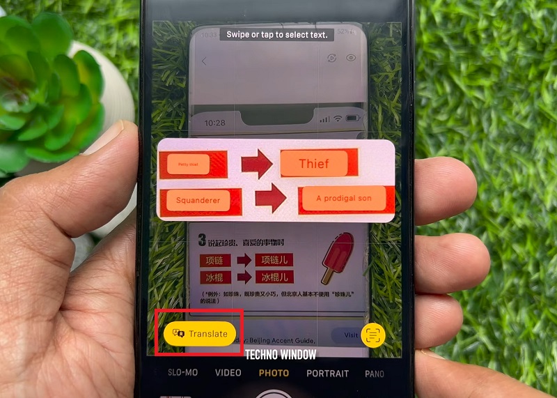 Nhấn vào nút Translate để tiến hành dịch văn bản  