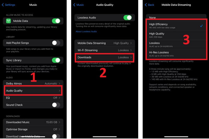 Giảm chất lượng bài hát để tiết kiệm dung lượng của dữ liệu di động 