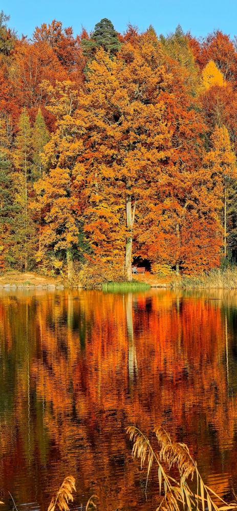 Mời bạn tải về bộ hình nền mùa thu dành cho iPhone bạn đọc tải về bộ hình nền mùa thu dành cho iPhone 