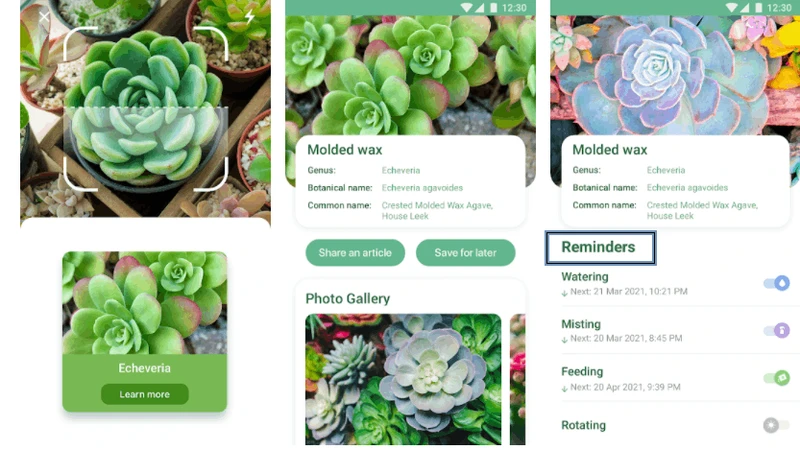NatureID - ứng dụng cho người đam mê cây cảnh (T7/CN)
