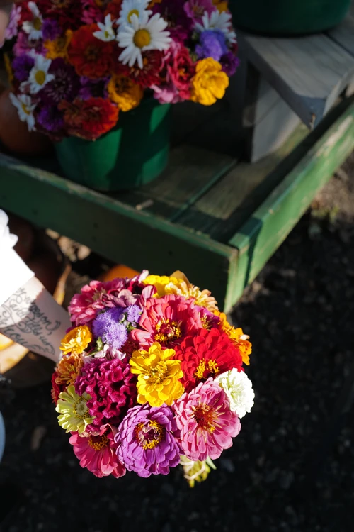 Ngày mới đầy sức sống với loạt hình nền iPhone muôn hoa khoe sắc