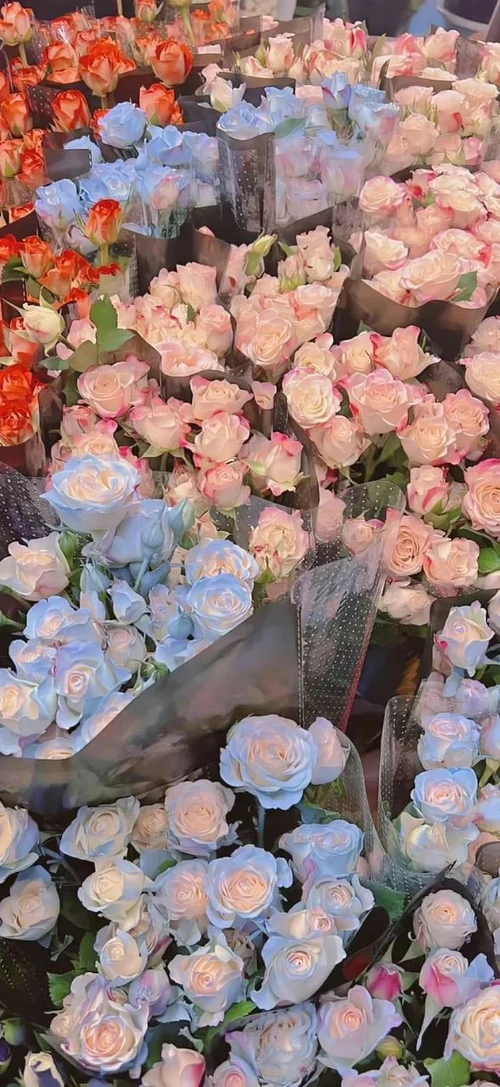 Ngày mới đầy sức sống với loạt hình nền iPhone muôn hoa khoe sắc