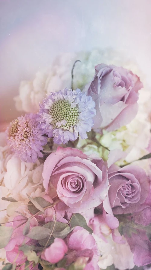 Ngày mới đầy sức sống với loạt hình nền iPhone muôn hoa khoe sắc