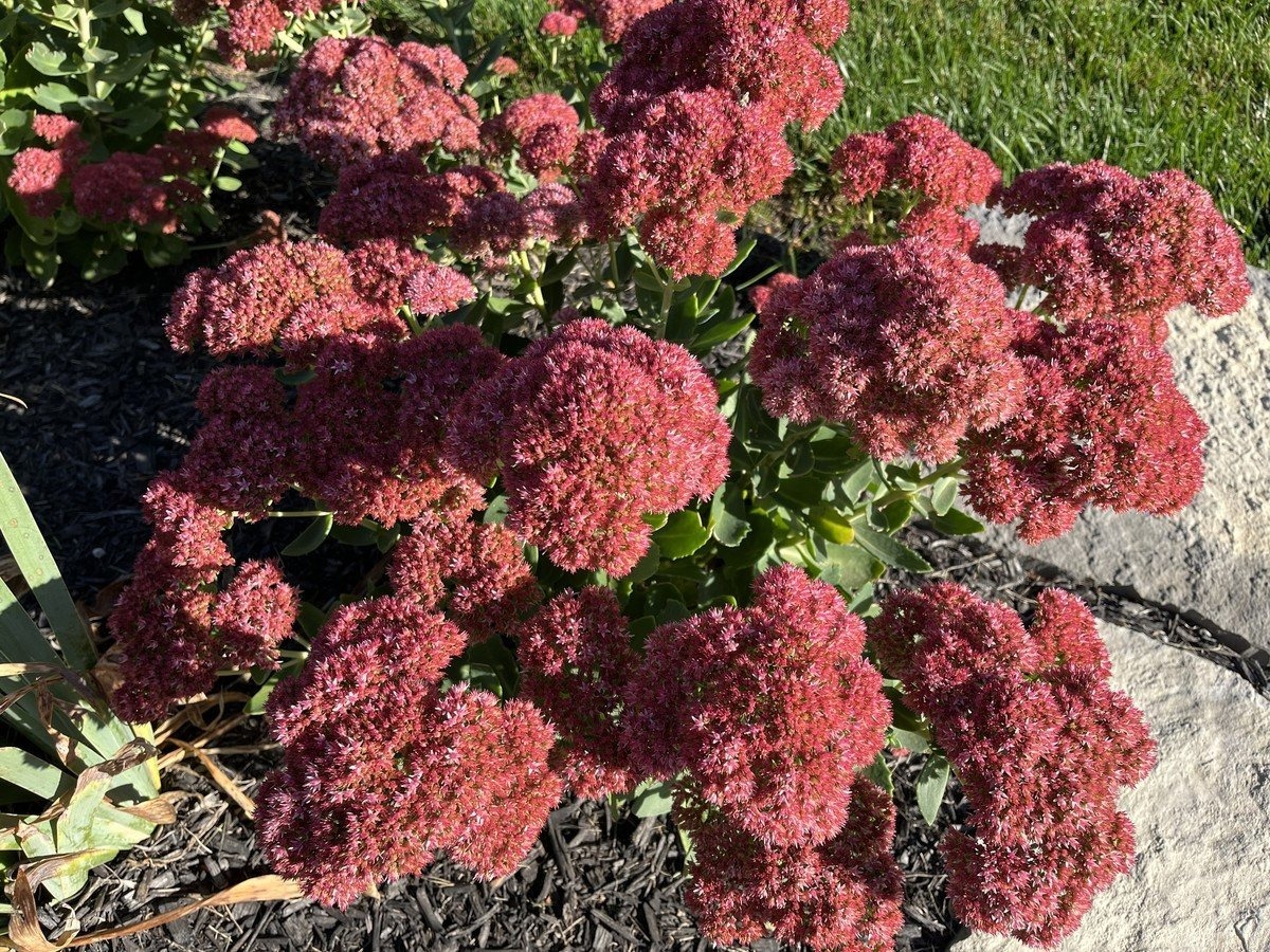 Đánh giá iPhone 13 Pro sau 6 tháng trải nghiệm