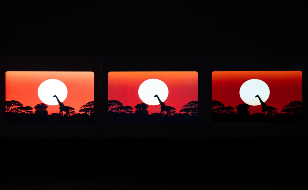 Samsung có thể thay đổi kế hoạch phát triển màn hình do nhu cầu màn hình iPad OLED