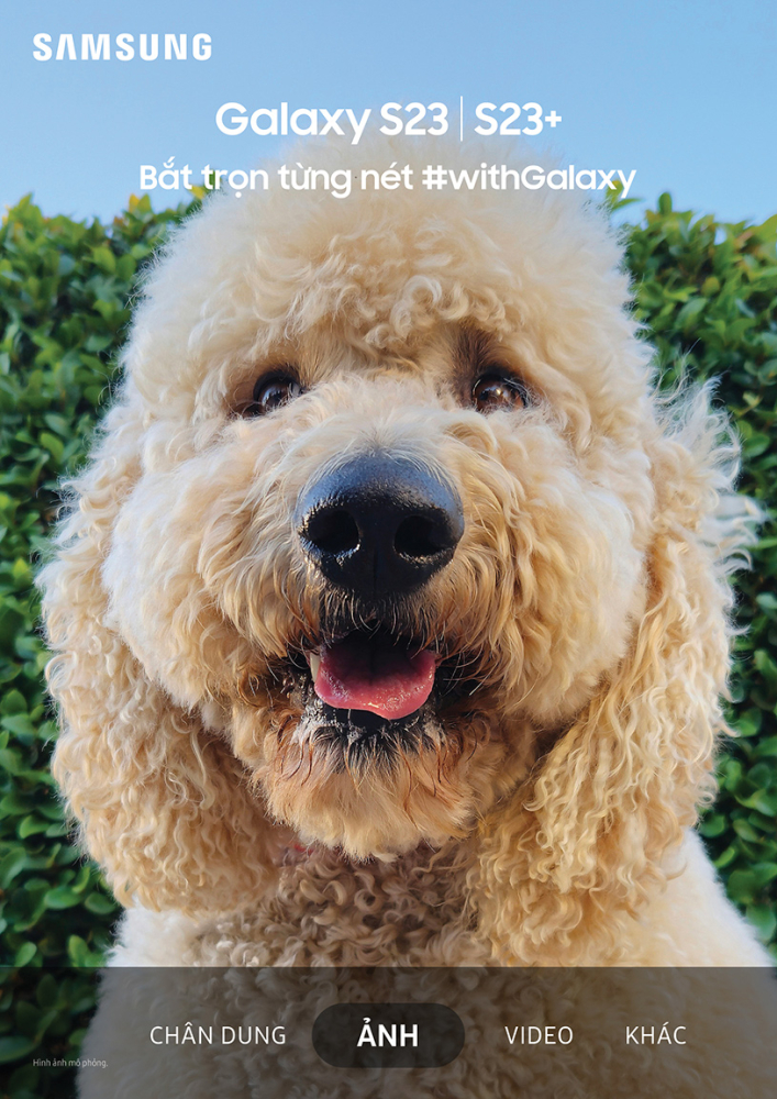 Camera 50MP, Camera selfie 12MP