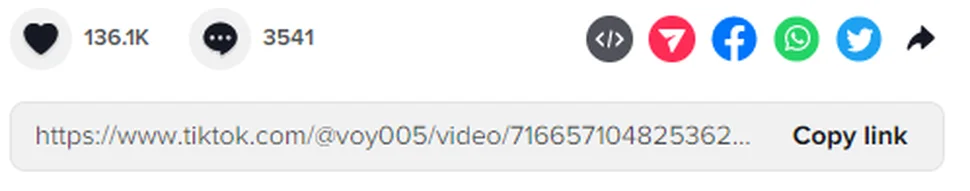  snaptik là công cụ hỗ trợ bạn tải video trên tiktok