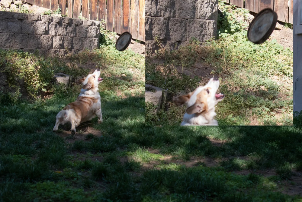 Đọ sức camera iPhone 14 Pro Max vs máy ảnh DSLR: iPhone đã thay thế được máy ảnh?