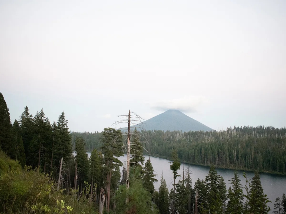 Đọ sức camera iPhone 14 Pro Max vs máy ảnh DSLR: iPhone đã thay thế được máy ảnh?