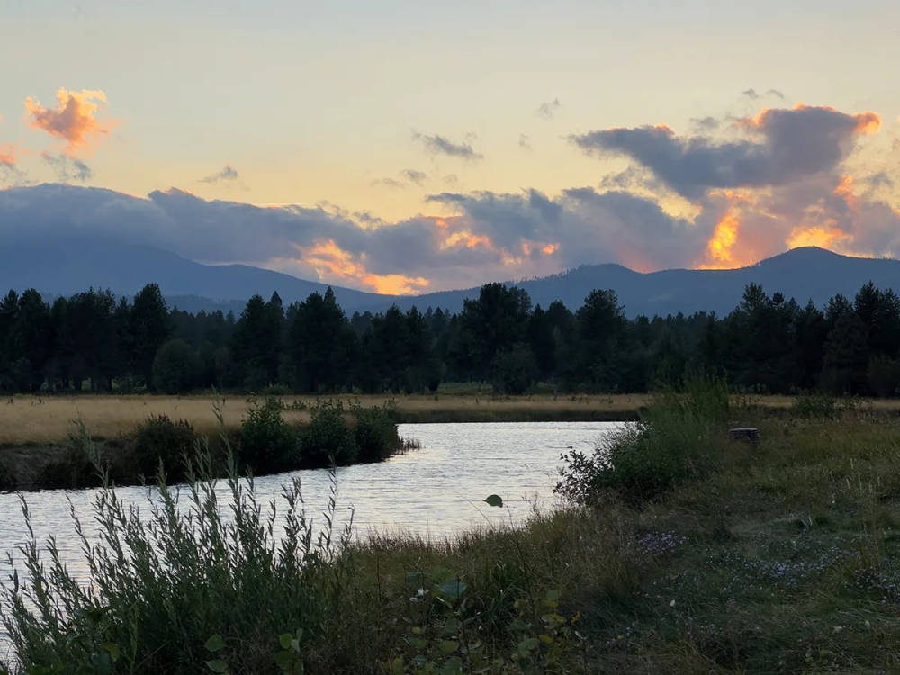 Đọ sức camera iPhone 14 Pro Max vs máy ảnh DSLR: iPhone đã thay thế được máy ảnh?