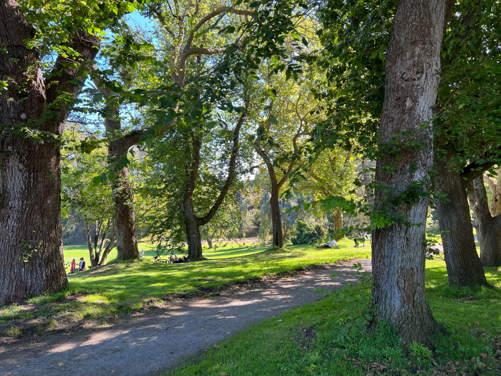 So sánh camera iPhone 13 Pro vs iPhone 14 Pro