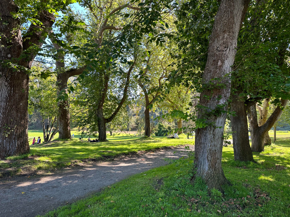 So sánh camera iPhone 13 Pro vs iPhone 14 Pro