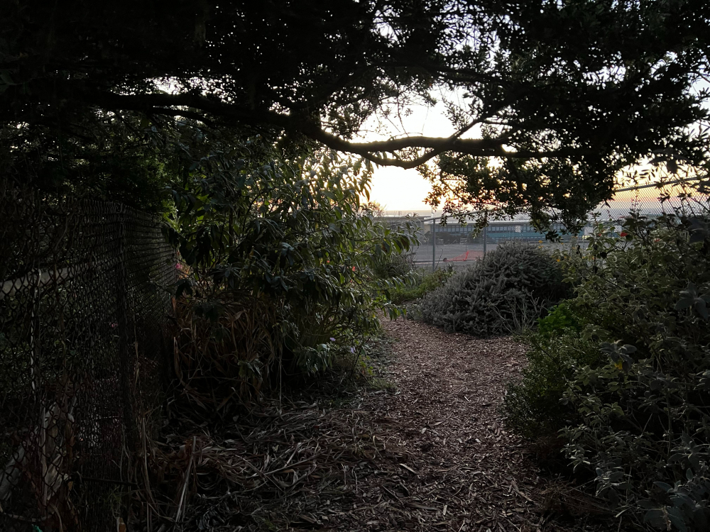 So sánh camera iPhone 13 Pro vs iPhone 14 Pro