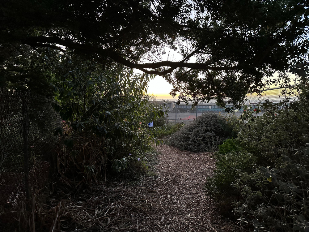 So sánh camera iPhone 13 Pro vs iPhone 14 Pro