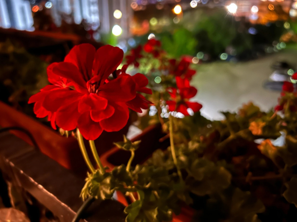 So sánh Galaxy S23 Plus vs iPhone 14 Plus