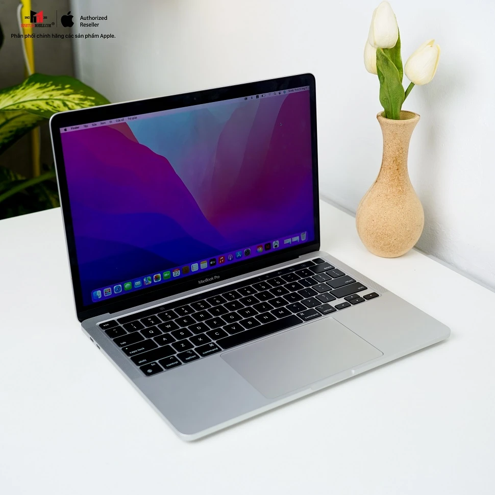 Tác hại của các phần mền lậu khi tải về MacBook 