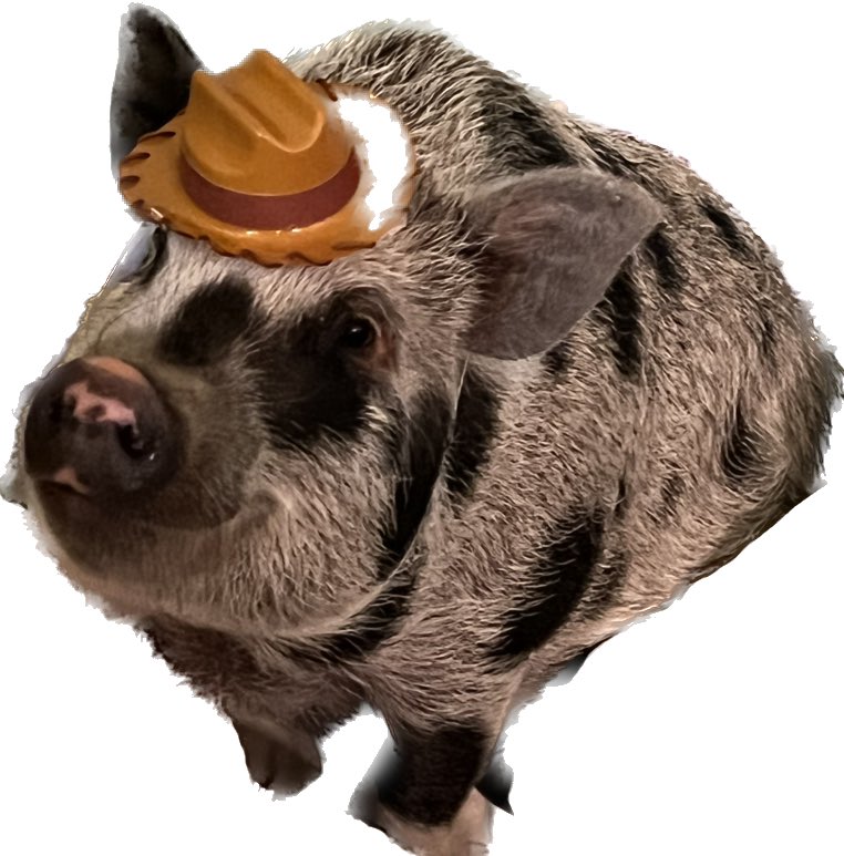 macOS hỗ trợ nâng chủ thể khỏi Spotlight, Quick Look và web