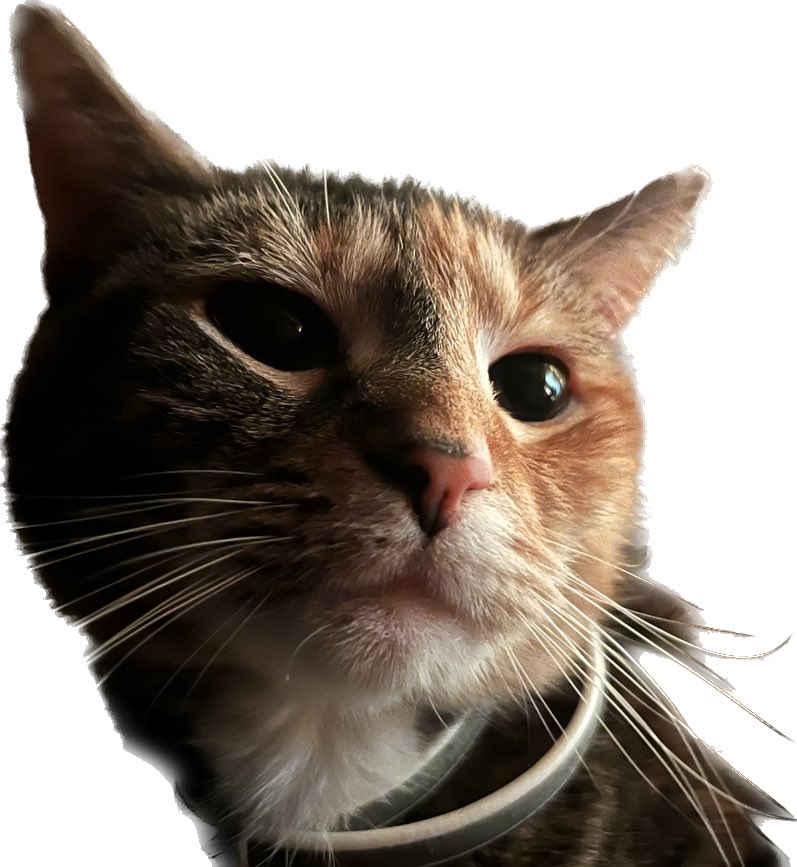 macOS hỗ trợ nâng chủ thể khỏi Spotlight, Quick Look và web