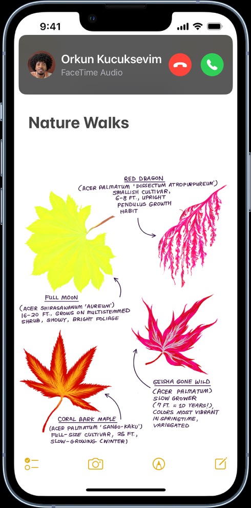 thay đổi cách nhận cuộc gọi trên iphone