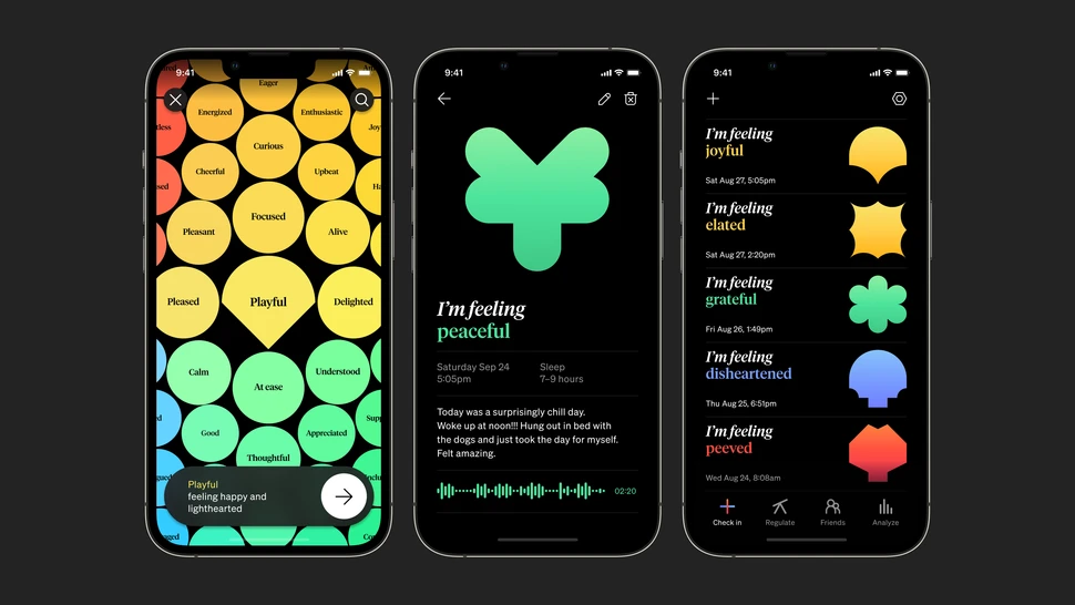 how we feel trên iPhone