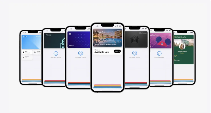 Wallet và Apple Pay Later