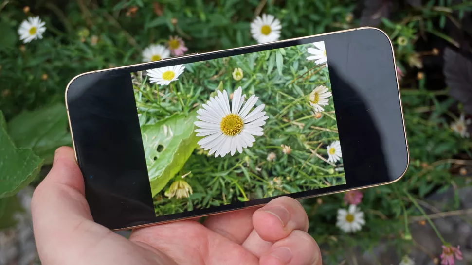 Camera macro iPhone 13 Pro