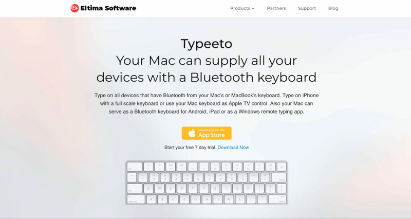 typeeto website homepage