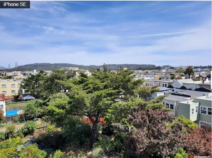 iPhone SE cho ảnh tự nhiên