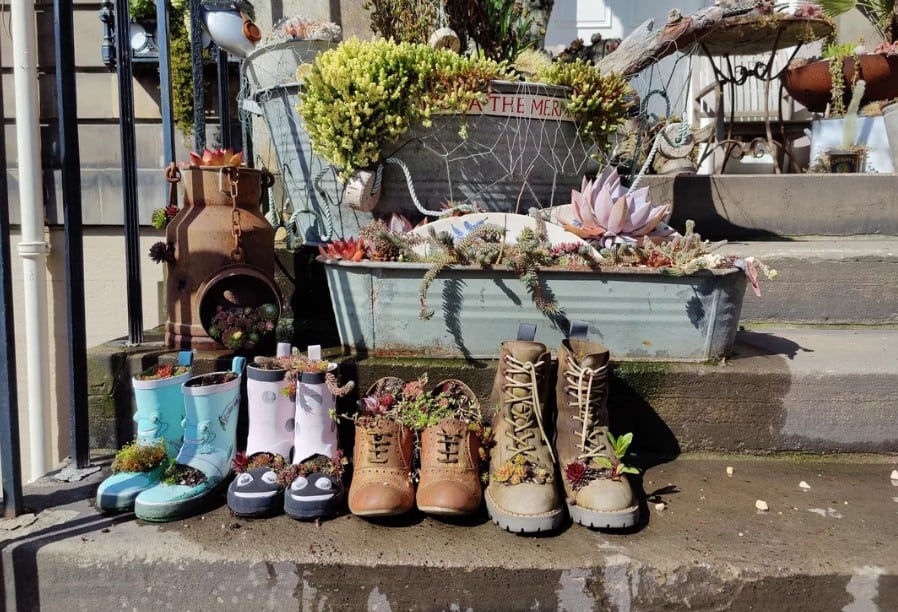 hình ảnh từ camera OnePlus 8 Pro