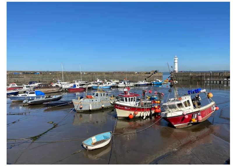 Cuộc so tài đầy bất ngờ giữa<figcaption class=