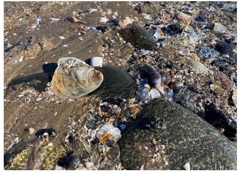 Cuộc so tài đầy bất ngờ giữa<figcaption class=