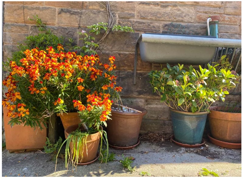 Cuộc so tài đầy bất ngờ giữa<figcaption class=