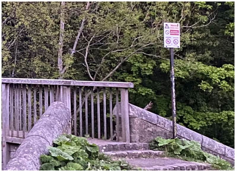 Cuộc so tài đầy bất ngờ giữa<figcaption class=