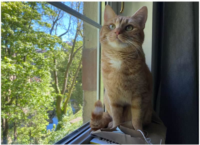 Cuộc so tài đầy bất ngờ giữa<figcaption class=