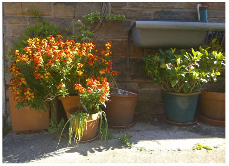 Cuộc so tài đầy bất ngờ giữa iPhone 11 Pro vs<figcaption class=