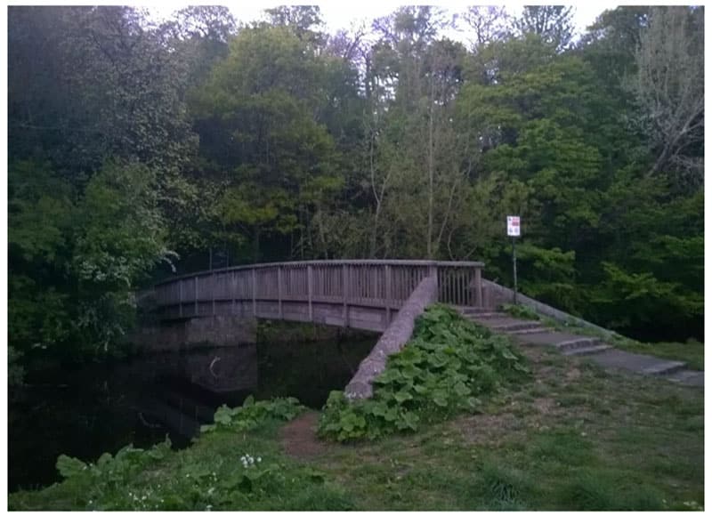 Cuộc so tài đầy bất ngờ giữa iPhone 11 Pro vs<figcaption class=