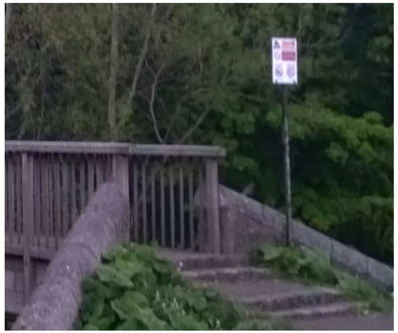 Cuộc so tài đầy bất ngờ giữa iPhone 11 Pro vs<figcaption class=