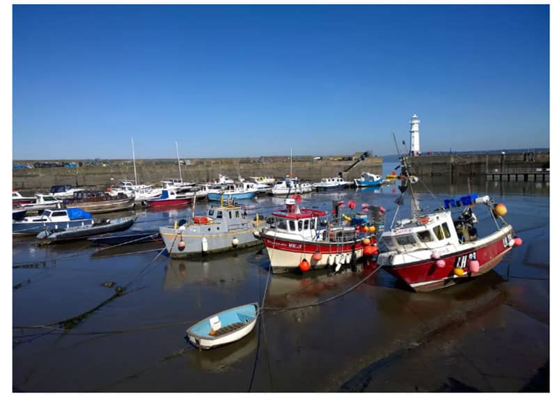 Cuộc so tài đầy bất ngờ giữa iPhone 11 Pro vs<figcaption class=