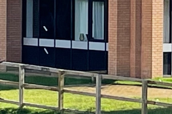 Cắt 1:1 từ bức ảnh trên, nếu nhìn kỹ bạn có thể thấy rằng chi tiết có phần hơi giả tạo