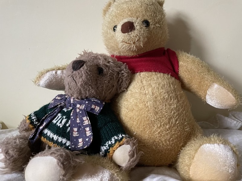 Mặc dù ảnh này trông đủ sáng, nhưng thật ra nó được chụp trong điều kiện ánh sáng yếu trong nhà với ánh sáng u ám từ cửa sổ vào một ngày nhiều mây