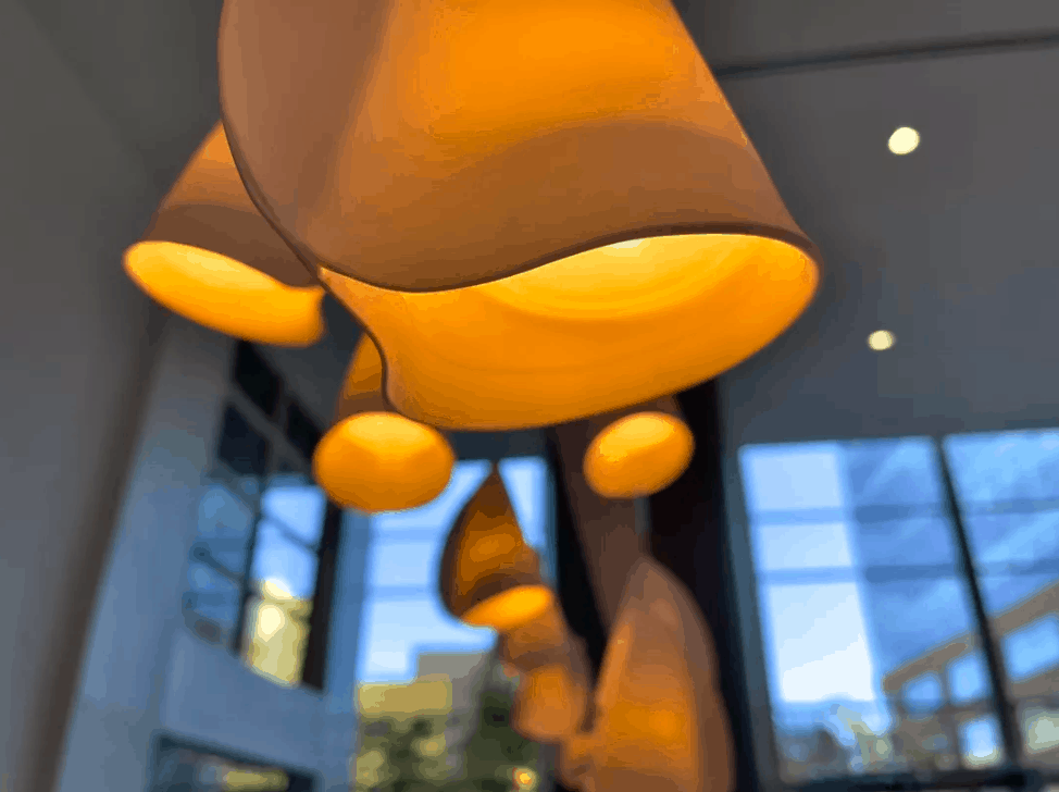 ảnh được chỉnh sửa từ tệp ProRaw