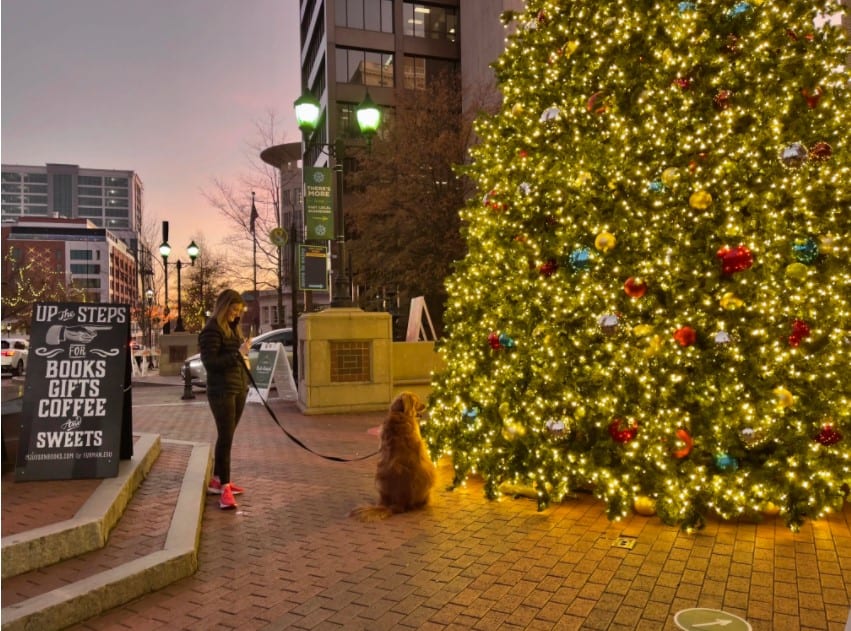 Ảnh chụp bằng Apple ProRAW