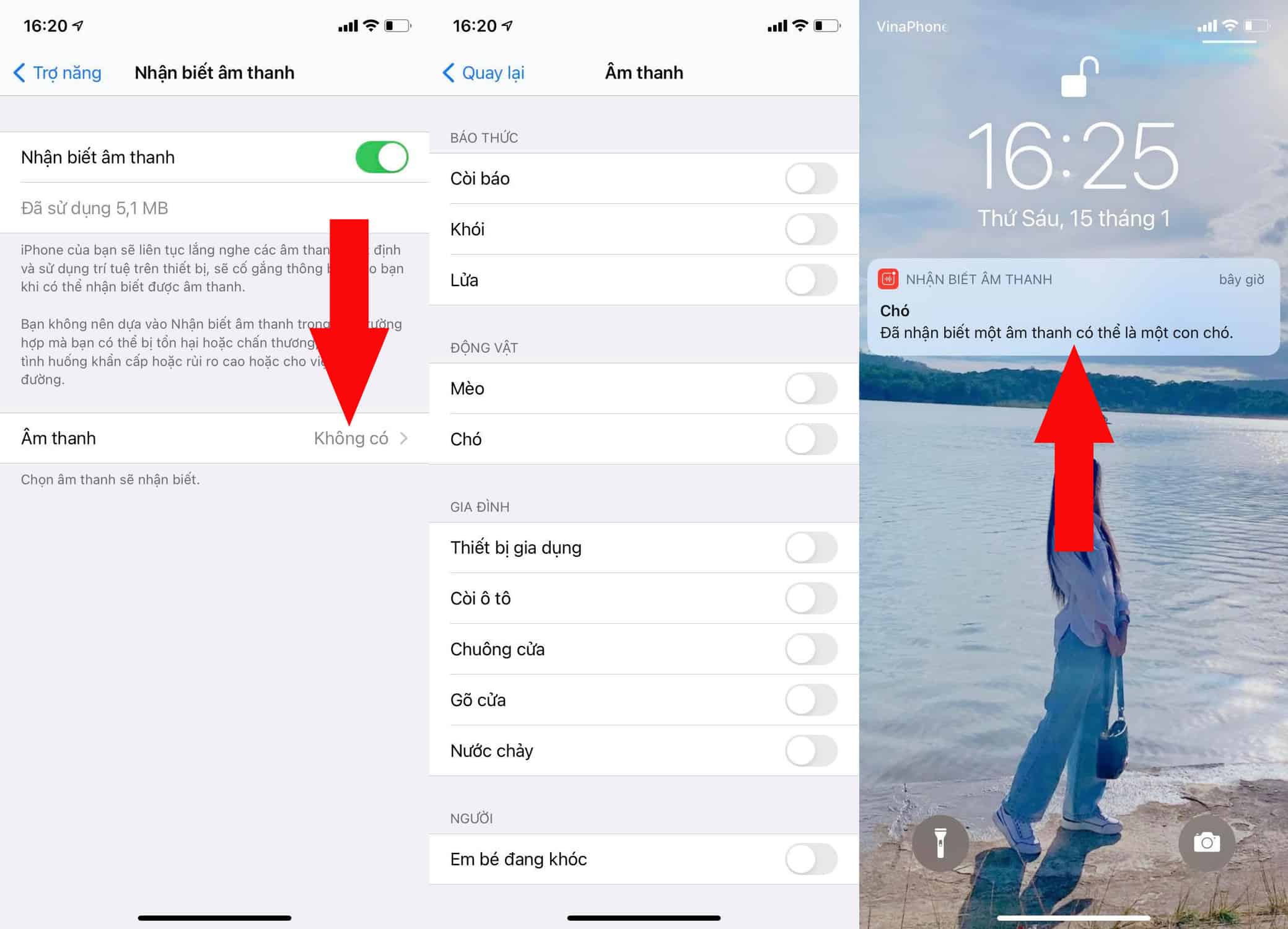 Nhận biết âm thanh