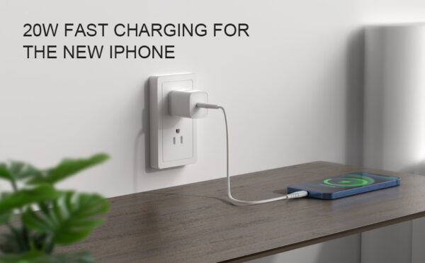 Cốc sạc nhanh iWALK 20W Type-C PD Leopard