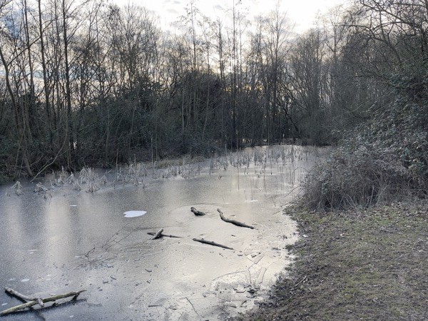 Thử nghiệm 1: Cảnh quan mùa đông